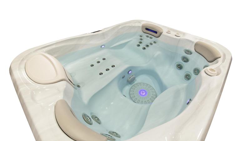 Spa Hydropool Signature 455